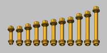 GEISER PERFORMANCE POLARIS PRO R FULL SUSPENSION 12 POINT BOLT KIT