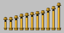 GEISER PERFORMANCE POLARIS PRO R FULL SUSPENSION 12 POINT BOLT KIT