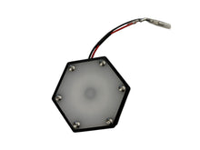 GEISER PERFORMANCE BACKING PLATE LIGHT KIT