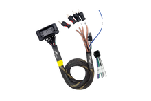 JBL® RCA Output Harness | UTVS-JBL-RC-RCA-OUT