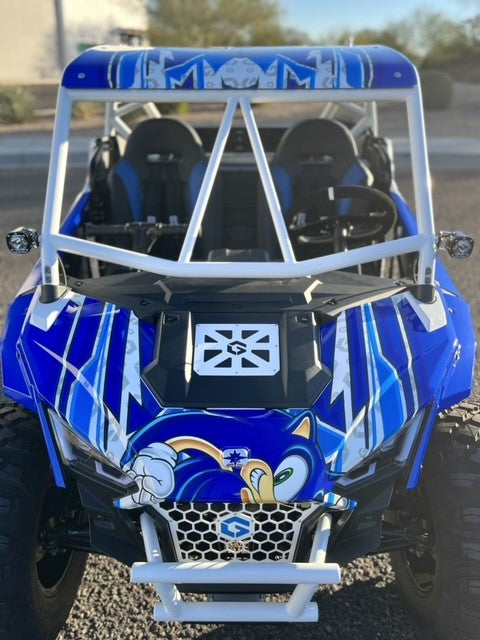 POLARIS RZR200 CAGE